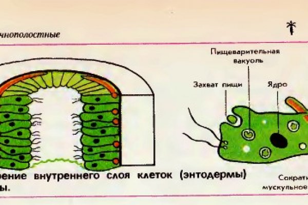 Кракен действующая ссылка