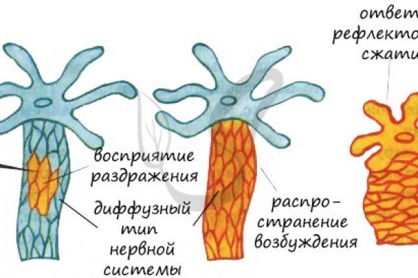 Кракен актуальное зеркало